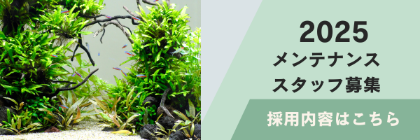求人情報
